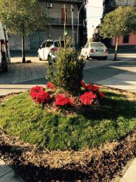 2_2014_12_17_in_via_mauro_mangano